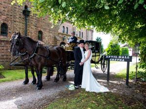 couples walked down the aisle