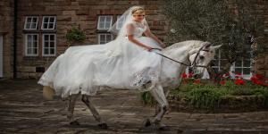 bride and horse