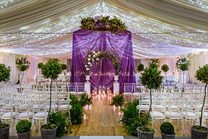 Wedding arch in marque