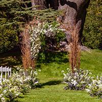 Outside wedding arch