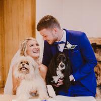 dogs at wedding