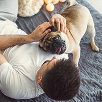 Man playing with pug on rug