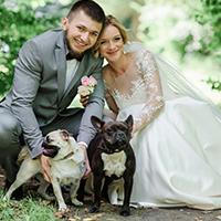 Pets at weddings