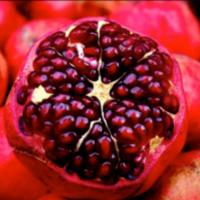 Pomegranate